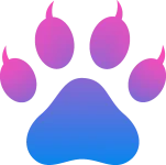 Digital Cheetah payment